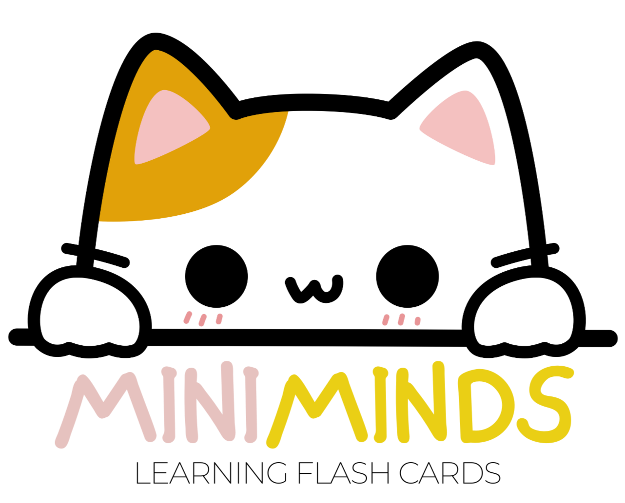 MINIMINDS™ Learning Flash Cards
